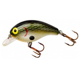 Tenesse Shad