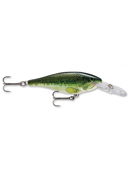 Baby Bass