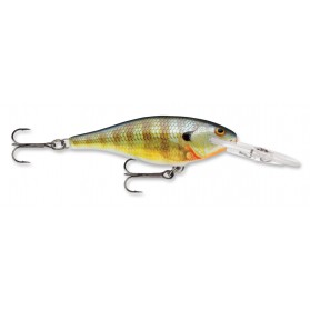 Bluegill