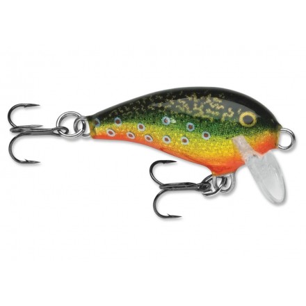 Brook Trout