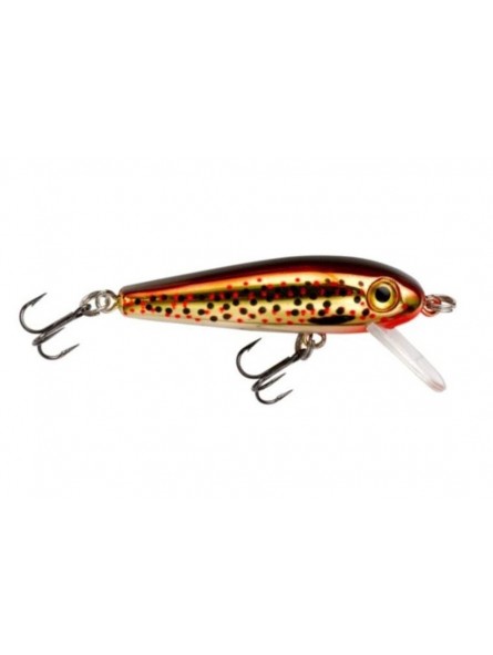 Slick Brown Trout