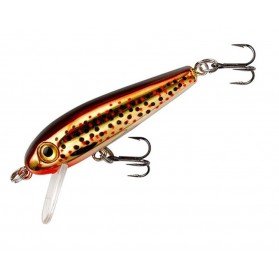 Slick Brown Trout
