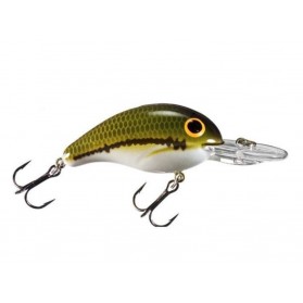 Baby Bass