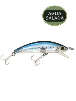Sardine