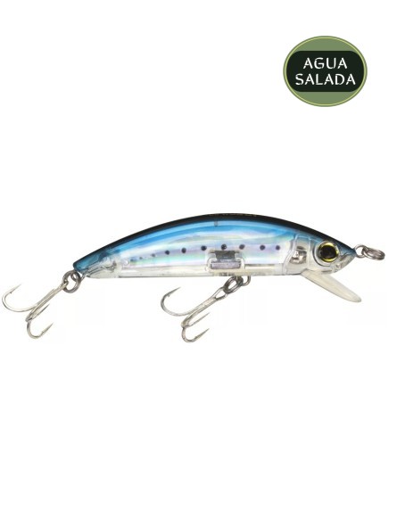 Sardine Sardine