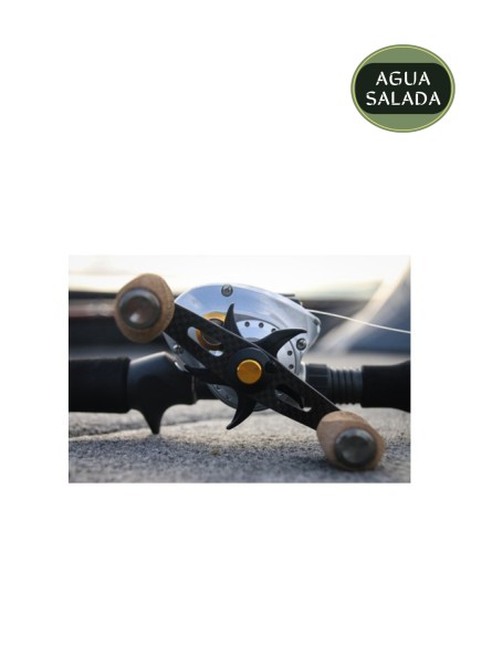Carrete Casting Quantum Vapor 10+1 Balineras