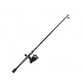 Combo Spinning Zebco Roam
