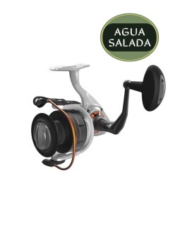 Carrete Spinning Quantum...