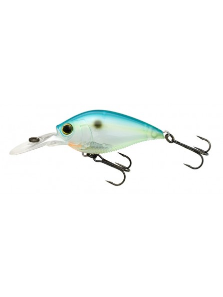 Citrus Shad
