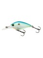 Citrus Shad