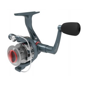 Carrete Spinning Quantum...